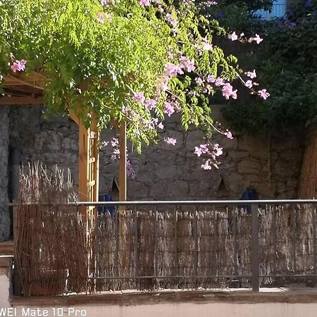 Appartement Avec Jardin Privatif Centre Ville Hyères Dış mekan fotoğraf