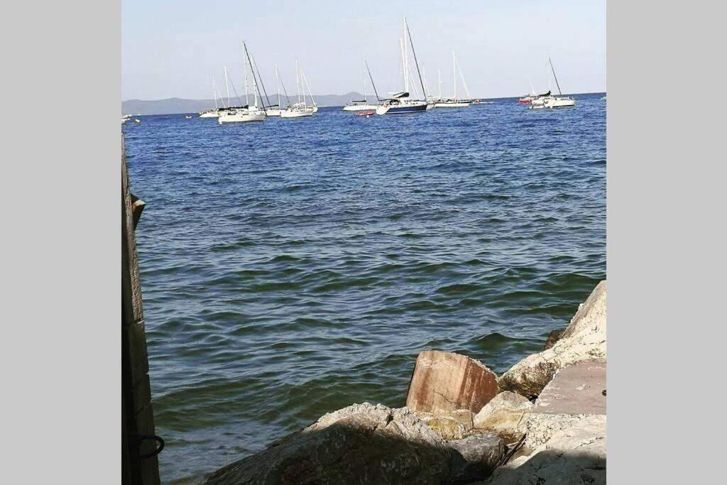 Appartement Avec Jardin Privatif Centre Ville Hyères Dış mekan fotoğraf