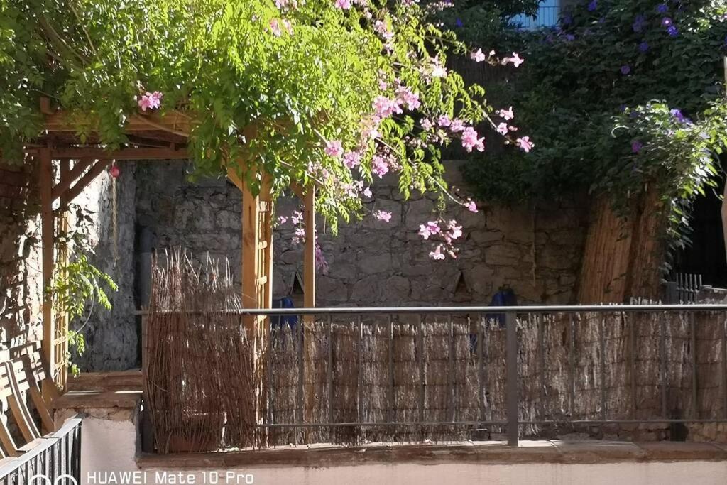 Appartement Avec Jardin Privatif Centre Ville Hyères Dış mekan fotoğraf